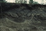 Marine nearshore gravel on Searsport Delta erosion surface. by Woodrow B. Thompson