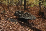 Odd glacial boulder, Stoneham by Woodrow B. Thompson