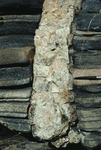 Granite pegmatite dike cutting gneiss, Freeport area