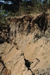 Gorham Landslide 1983 by Woodrow B. Thompson