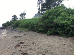 Great Hill Beach 07132021 by Emma Tombaugh