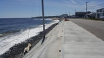 Long Sands Beach Wall 05062019