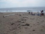 Reid Beach 2011