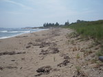 Reid Beach 2011