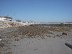 Long Sands Beach 2011