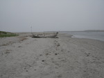 Ferry Beach 06/2009