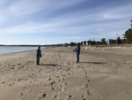 Beach Profiling Program Photo: Laudholm