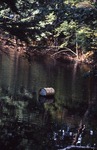 Surface Water Barrel - Pollution