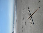 Beach Profiling Program Photo: Higgins
