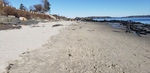 Beach Profiling Program Photo: Willard