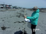 Beach Profiling Program Photo: LongSands