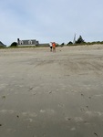 Beach Profiling Program Photo: Ferry-FE04A