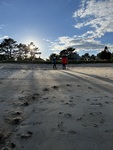 Beach Profiling Program Photo: Ferry-FE01A