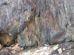 Rusty-weathering sulfidic schist, Penobscot Formation by Henry N. Berry IV