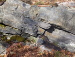 Bedded quartzite of the Battie Quartzite.