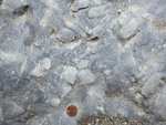 Quartzite conglomerate of Battie Quartzite by Henry N. Berry IV