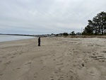 Beach Profiling Program Photo: Ferry