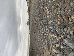 Beach Profiling Program Photo: Laudholm