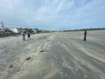 Beach Profiling Program Photo: Long Sands