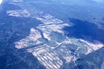 Forest Management, clearcuts