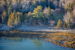 MAINE BAR HARBOR 111225-9355 by Dave Cleaveland