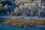 MAINE BAR HARBOR 111225-9356 by Dave Cleaveland