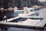 Salmon aquaculture at Callahan Mine site by Frederick M. Beck