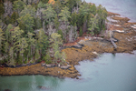 MAINE DAMARISCOTTA RIVER 111125-7036 by Dave Cleaveland