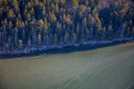 MAINE GOULDSBORO BAY 111225-5088 by Dave Cleaveland