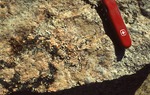 Crystals Granite - Crotch Island