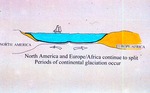 North America and Europe/Africa continue to split. Periods of continental glaciation occur.