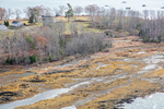 MAINE ISLEBORO 111225-3026 by Dave Cleaveland