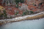 MAINE MUSCONGUS BAY 111225-7235 by Dave Cleaveland