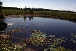 Denbow - Pond