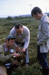 Carrying Place Bog (Lubec, ME) - Int. Peat Conf. Field Trip (X033630) by Vernon L. Shaw