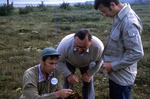 Carrying Place Bog (Lubec, ME) - Int. Peat Conf. Field Trip by Vernon L. Shaw