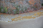 MAINE MUSCONGUS BAY 111225-7976 by Dave Cleaveland