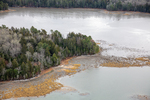 MAINE MUSCONGUS BAY 111225-8027 by Dave Cleaveland