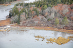 MAINE MUSCONGUS BAY 111225-8232 by Dave Cleaveland