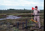 peat; red flag