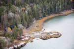 MAINE MUSCONGUS BAY 111225-8412 by Dave Cleaveland