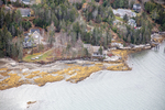 MAINE MUSCONGUS BAY 111225-8437 by Dave Cleaveland
