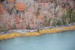 MAINE MUSCONGUS BAY 111225-8547 by Dave Cleaveland