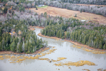 MAINE MUSCONGUS BAY 111225-8587 by Dave Cleaveland