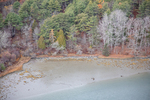 MAINE MUSCONGUS BAY 111225-8619 by Dave Cleaveland