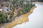 MAINE MUSCONGUS BAY 111225-8778 by Dave Cleaveland
