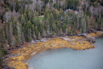 MAINE MUSCONGUS BAY 111225-8876 by Dave Cleaveland