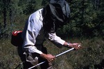 Joe Russo of Mass. Geol. Survey in bog near E. Andover, ME. (449054) by Vernon L. Shaw