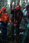 Coring in a Forested Area by Walter A. Anderson