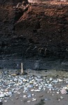 Peat over marine clay.